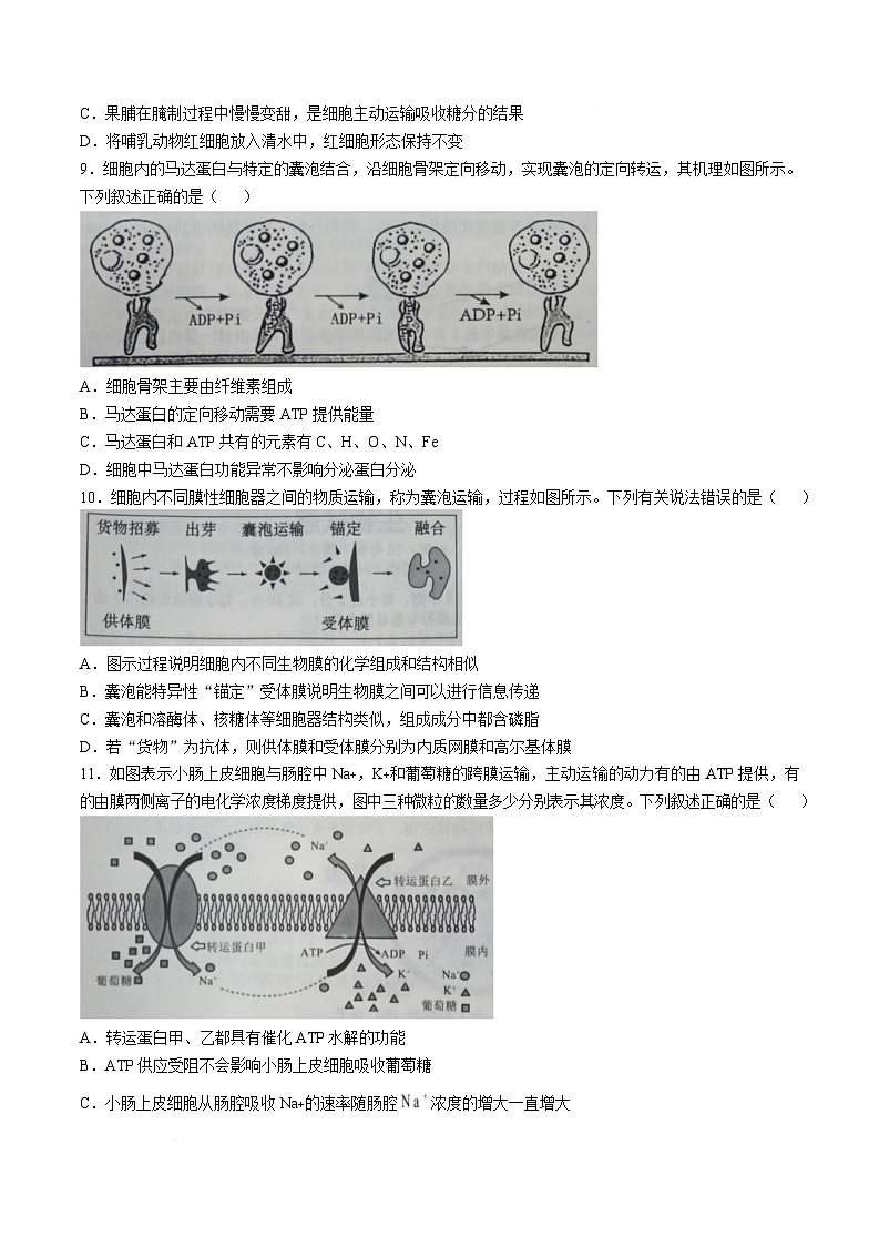 2025辽宁省七校协作体高一下学期3月联考试题生物含答案第3页