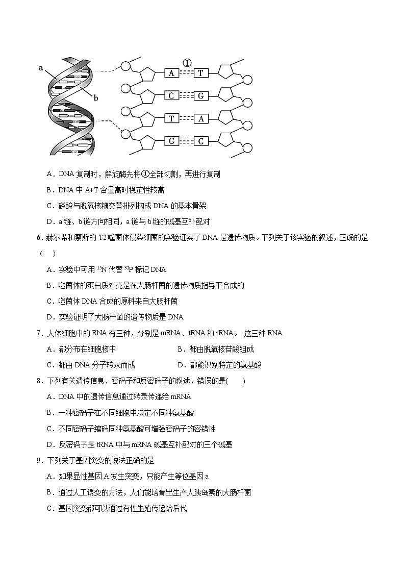 2025张家口一中高一下学期开学考试生物含答案第2页