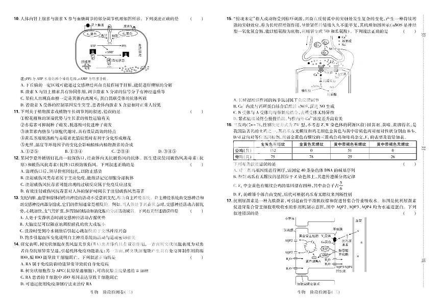 2025高考复习阶段检测卷-生物（三）+答案第2页