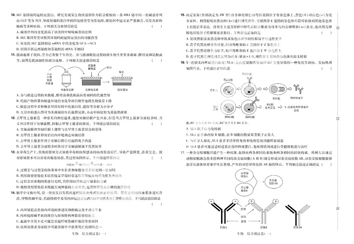 2025高考复习阶段检测卷-生物（五）+答案第2页