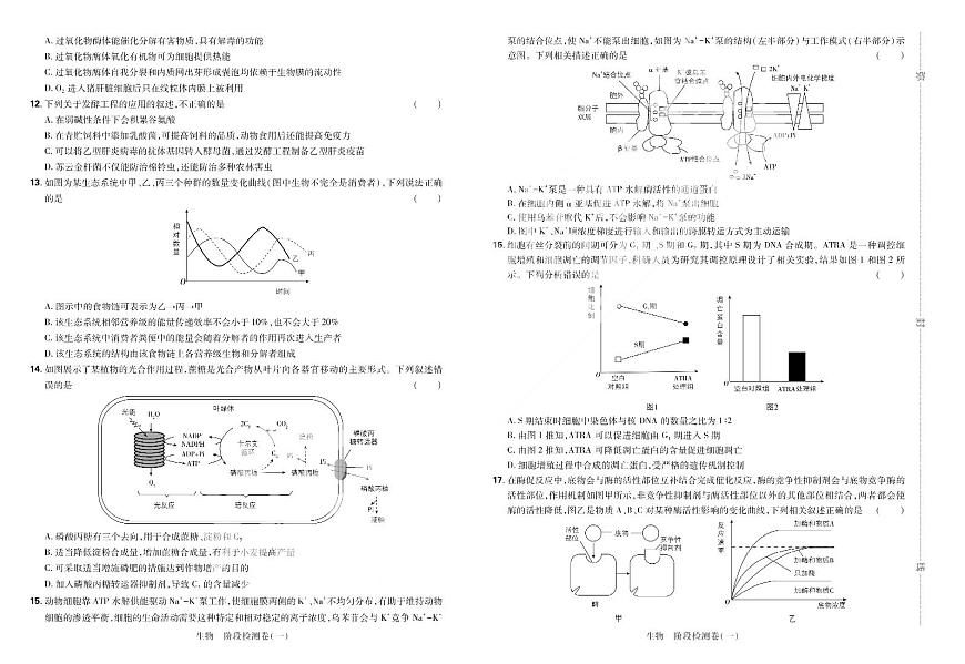 2025高考复习阶段检测卷-生物（一）+答案第2页