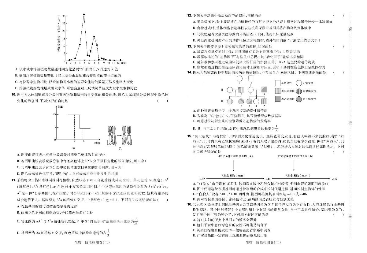 2025高考复习阶段检测卷-生物（二）+答案第2页