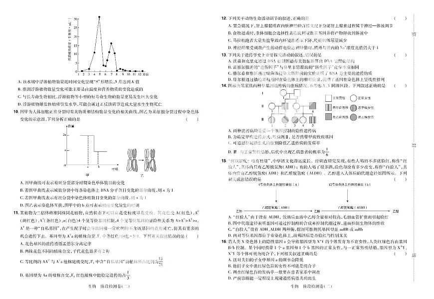 2025高考复习阶段检测卷-生物（二）+答案第2页