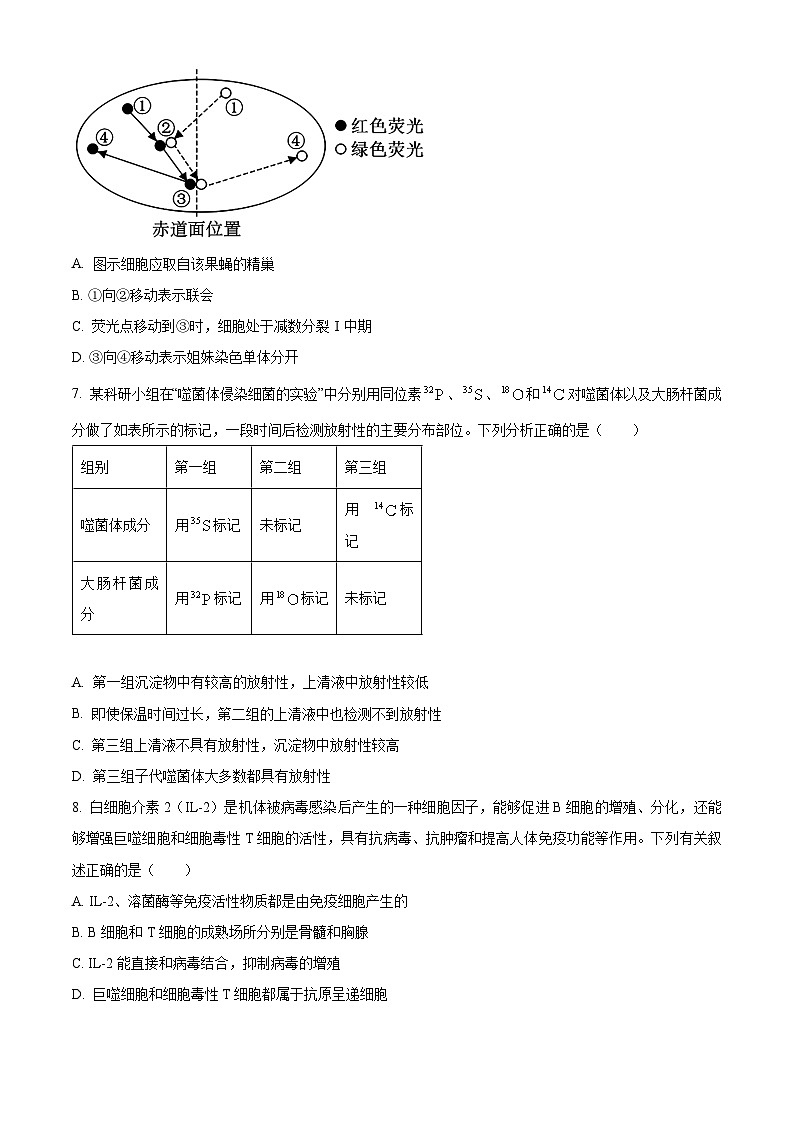 河北省邢台市2024-2025学年高三上学期期末考试生物试题  Word版无答案第3页