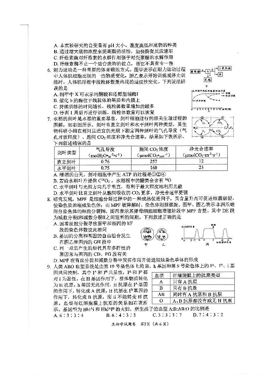 绵阳市高中2022级第一次诊断性考试生物第2页