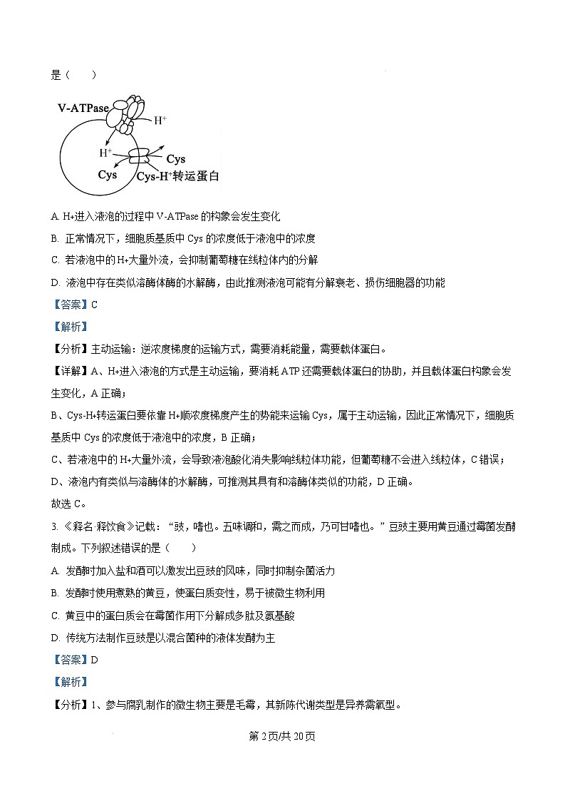 湖北省部分市州2024—2025学年高三上学期期末联考生物试题 Word版含解析第2页