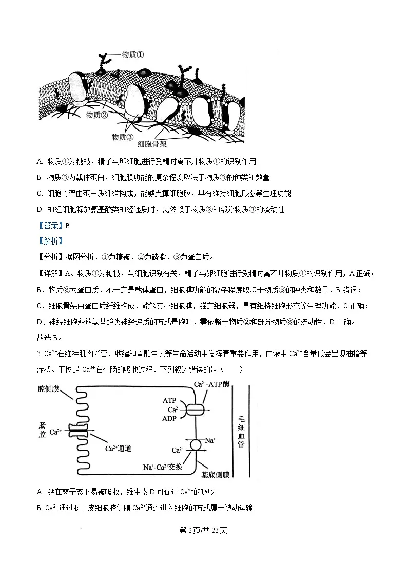 湖北省随州市2024-2025学年高三上学期1月期末生物试题 Word版含解析第2页