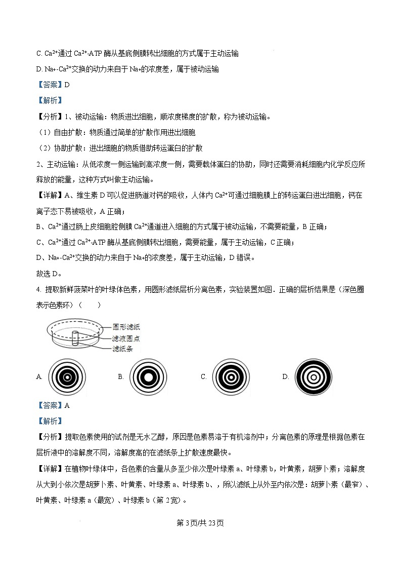 湖北省随州市2024-2025学年高三上学期1月期末生物试题 Word版含解析第3页
