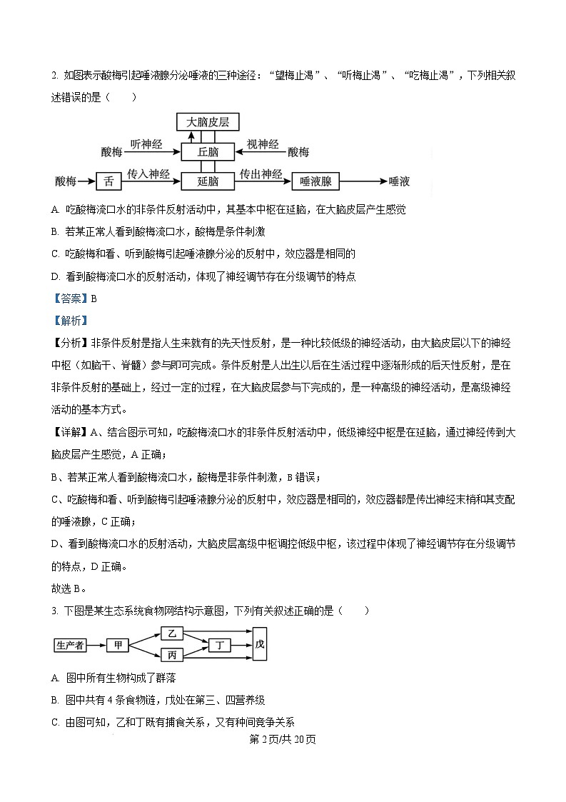 湖南省邵阳市邵东市联考2024-2025学年高二上学期1月期末生物试题 Word版含解析第2页