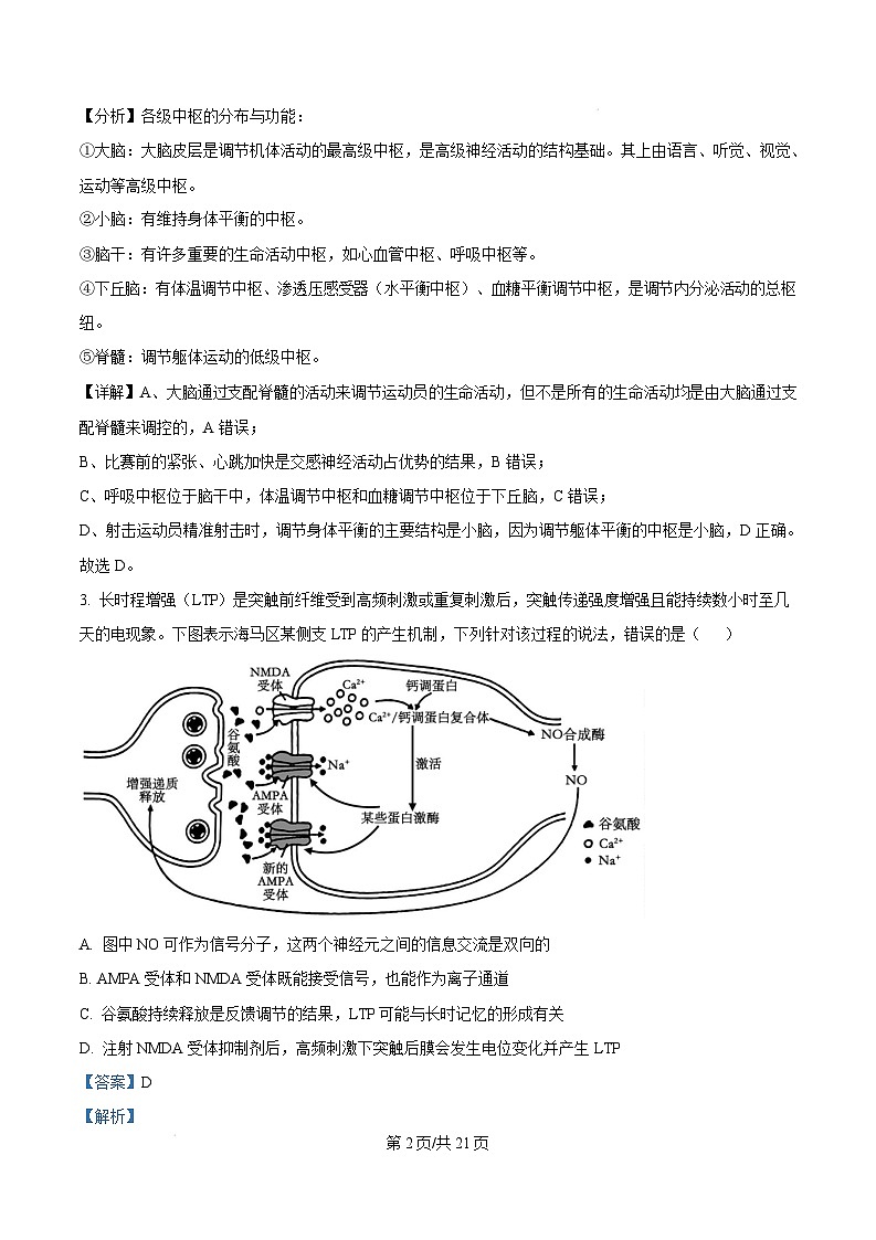 湖南省长沙市雅礼中学2024-2025学年高二上学期期末考试生物试题 Word版含解析第2页
