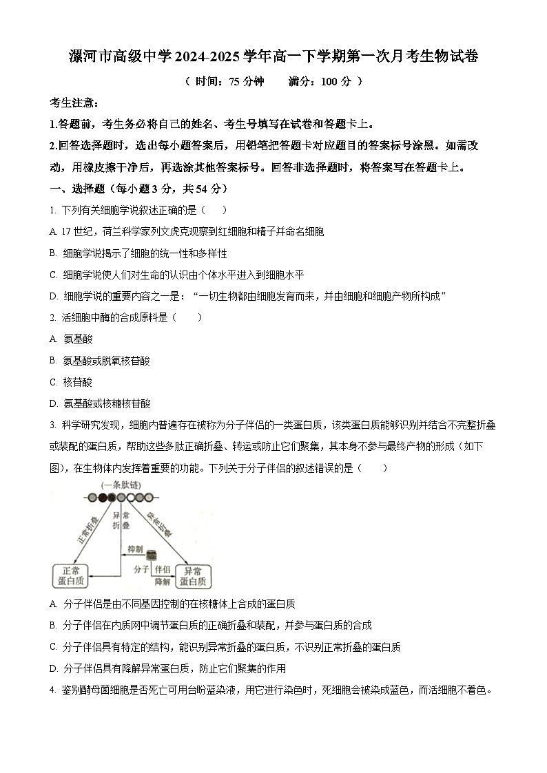 河南省漯河市高级中学2024-2025学年高一下学期第一次月考考试生物试卷（原卷版+解析版）第1页