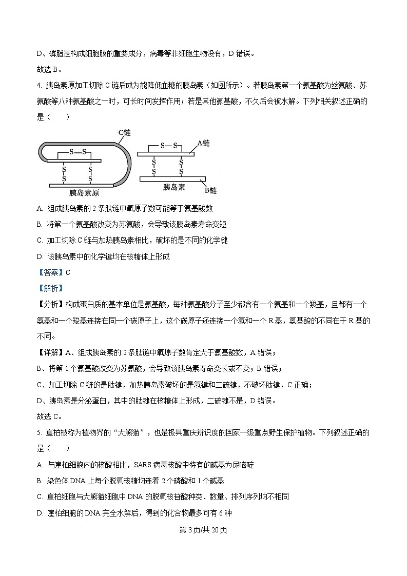 湖北省荆州中学2024-2025学年高一下学期2月月考生物试卷含解析第3页