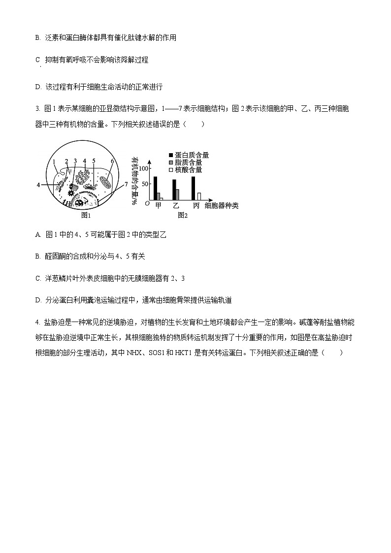 2025届黑龙江省齐齐哈尔市高三下学期一模生物学试题（含答案）第2页