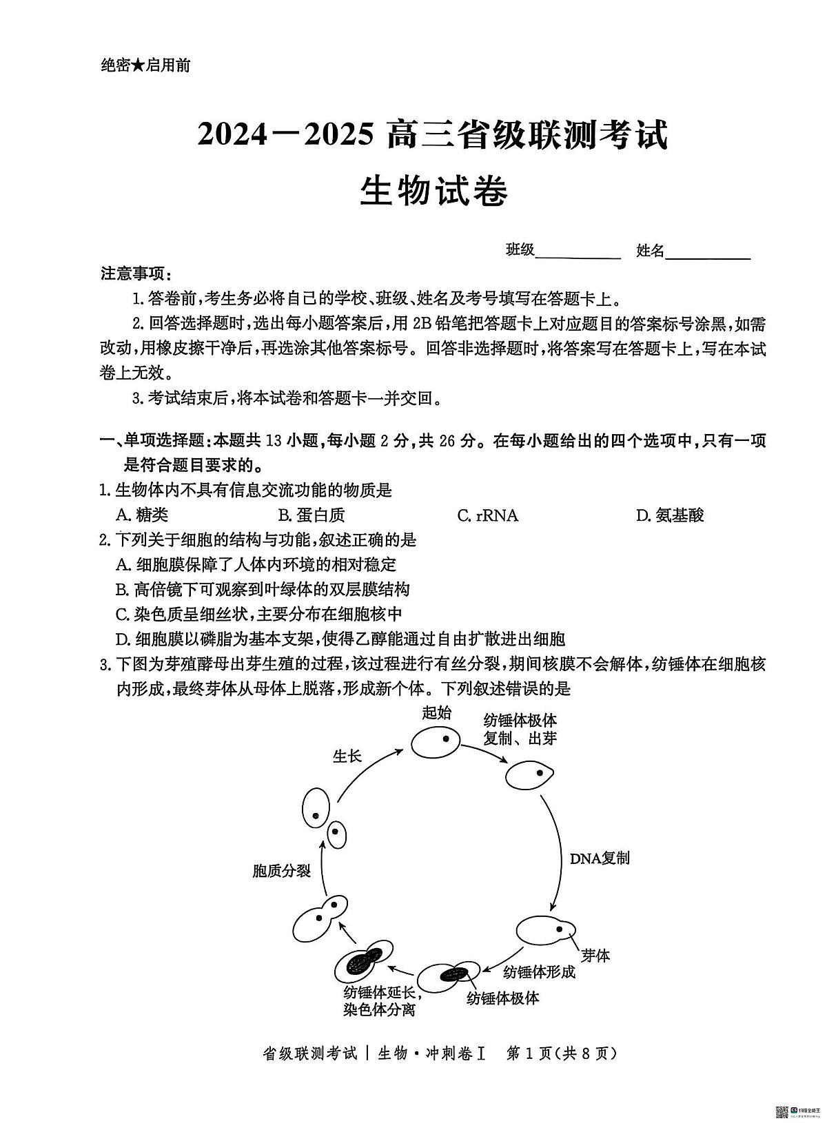 河北省2024-2025高三省级联测考试生物+答案第1页