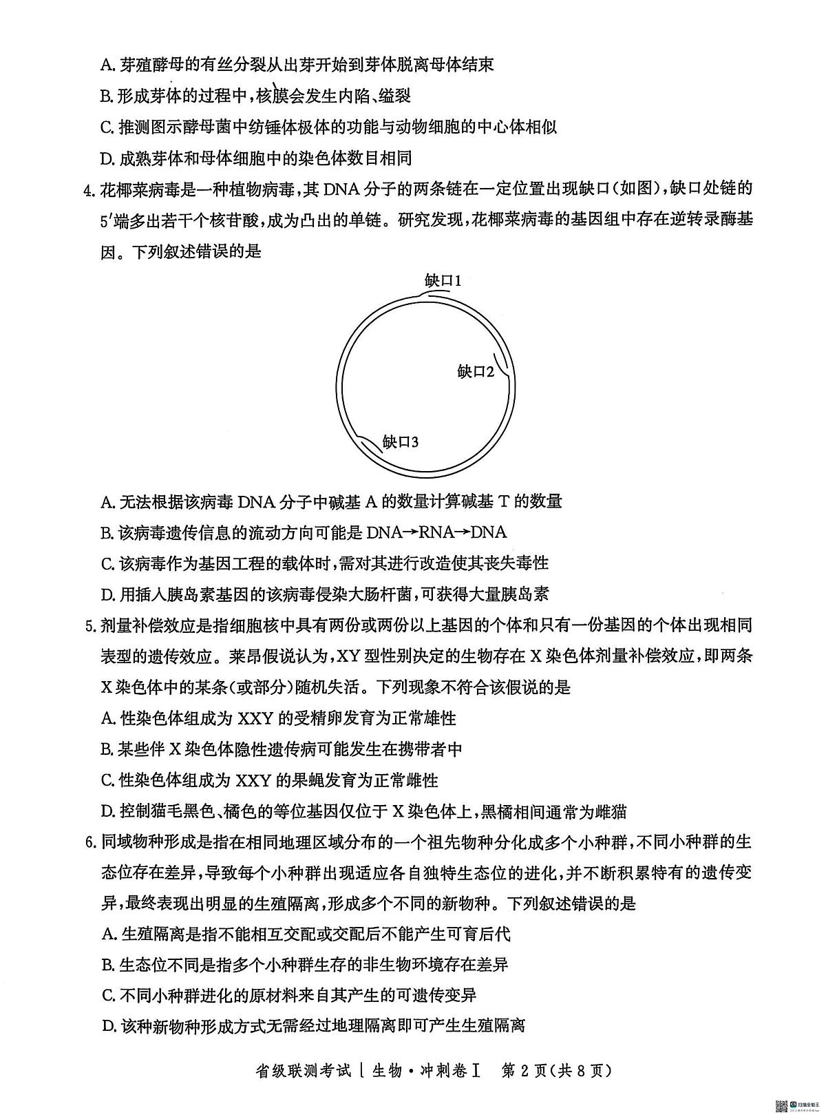 河北省2024-2025高三省级联测考试生物+答案第2页
