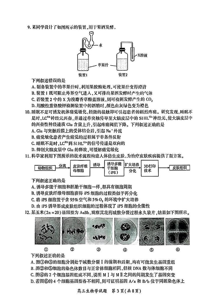 厦门市2025届高三毕业班第二次质量检测生物试题（含答案）第3页