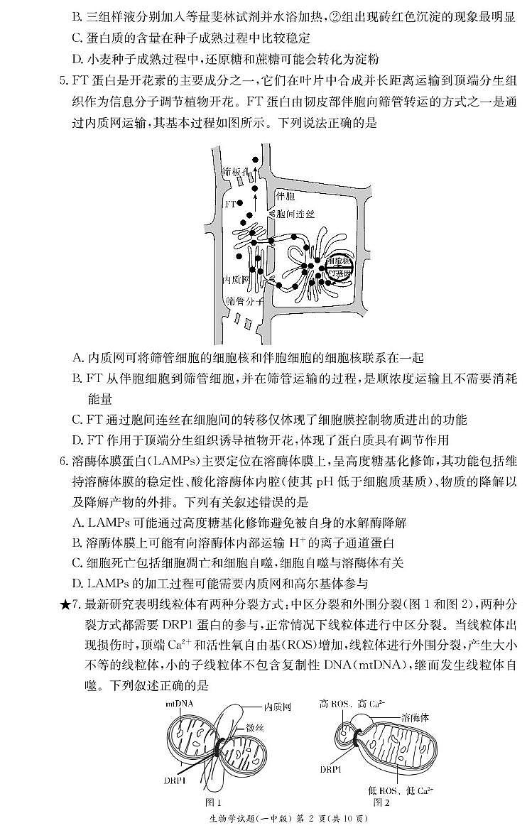 湖南省长沙市第一中学2024-2025学年高一下学期开学考试 生物（含答案）第2页