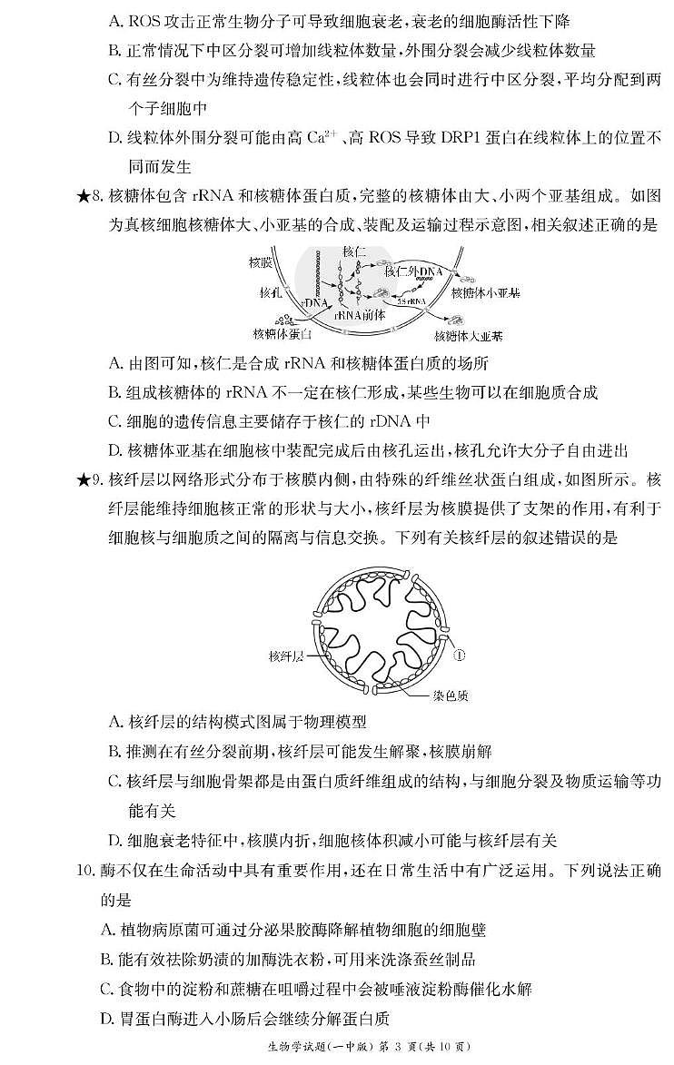 湖南省长沙市第一中学2024-2025学年高一下学期开学考试 生物（含答案）第3页