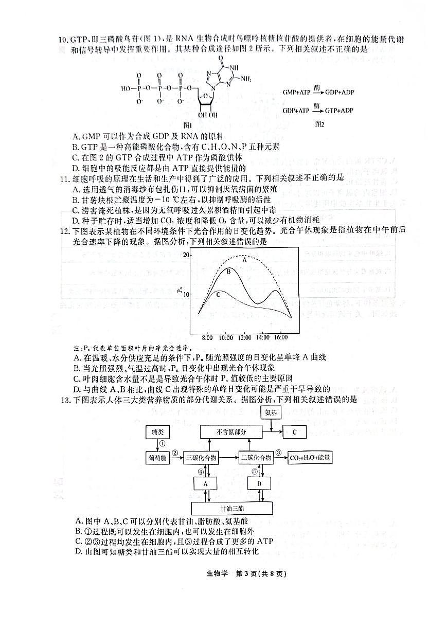 辽宁名校联盟2024-2025学年高一下学期3月月考试卷 生物（含答案）第3页