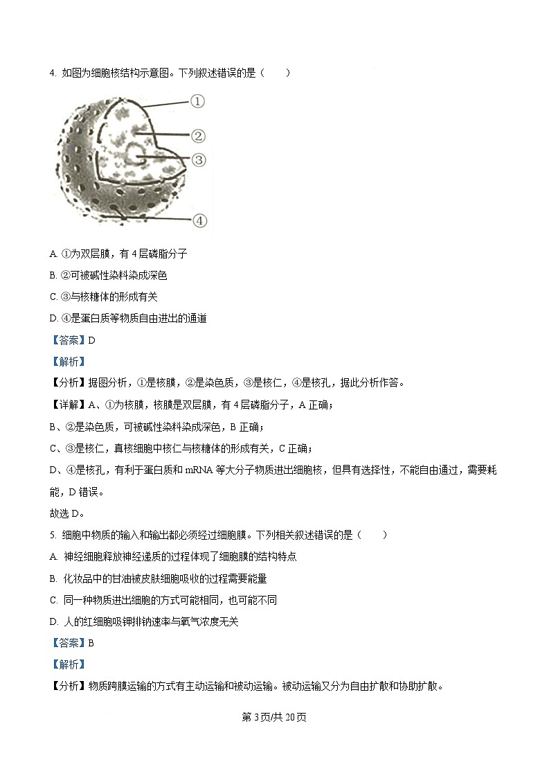 湖南省常德市汉寿县第一中学2024-2025学年高一下学期2月月考生物试题 Word版含解析第3页