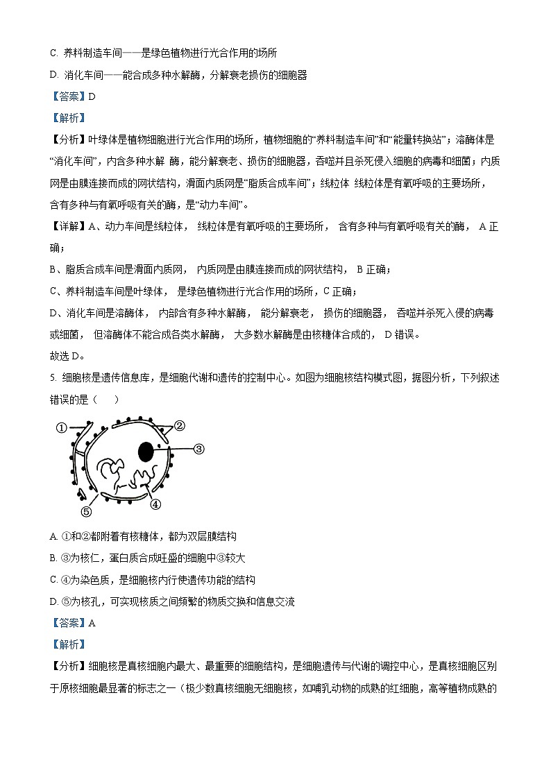 广西百色市2024-2025学年高一上学期1月期末生物试题  Word版含解析第3页