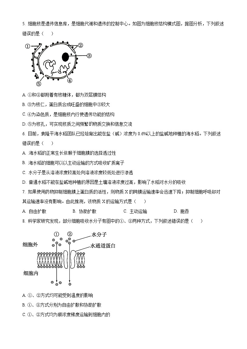 广西百色市2024-2025学年高一上学期1月期末生物试题  Word版无答案第2页