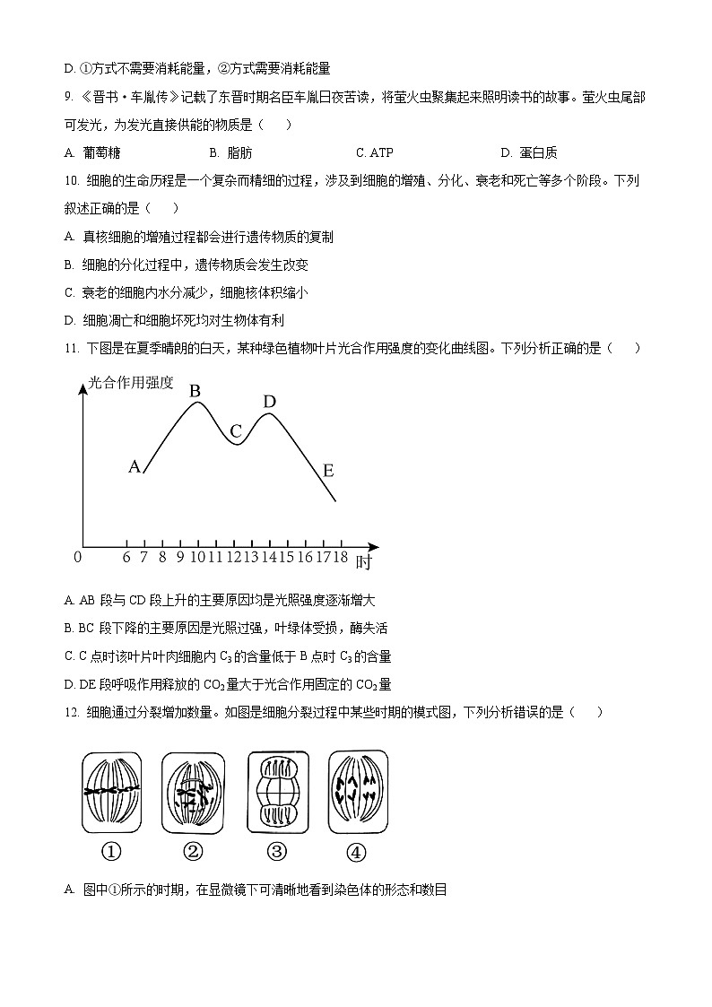 广西百色市2024-2025学年高一上学期1月期末生物试题  Word版无答案第3页