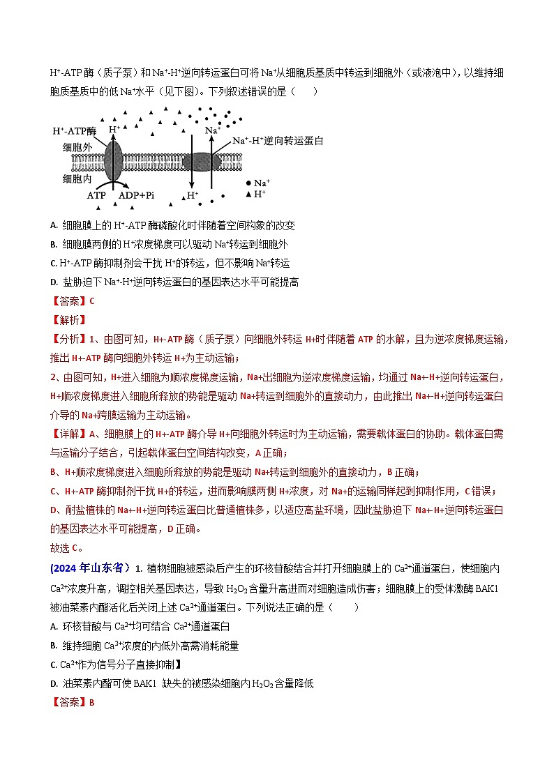 专题03 物质的跨膜运输-2024年高考真题和模拟题生物分类汇编（教师卷）第2页