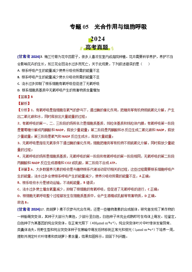 专题05 光合作用与细胞呼吸-2024年高考真题和模拟题生物分类汇编（教师卷）第1页