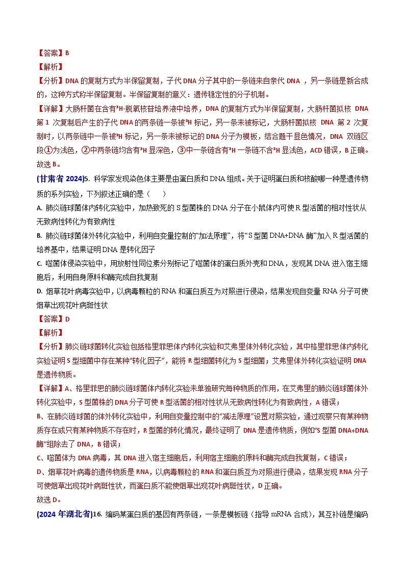 专题09 遗传的分子基础-2024年高考真题和模拟题生物分类汇编（教师卷）第2页