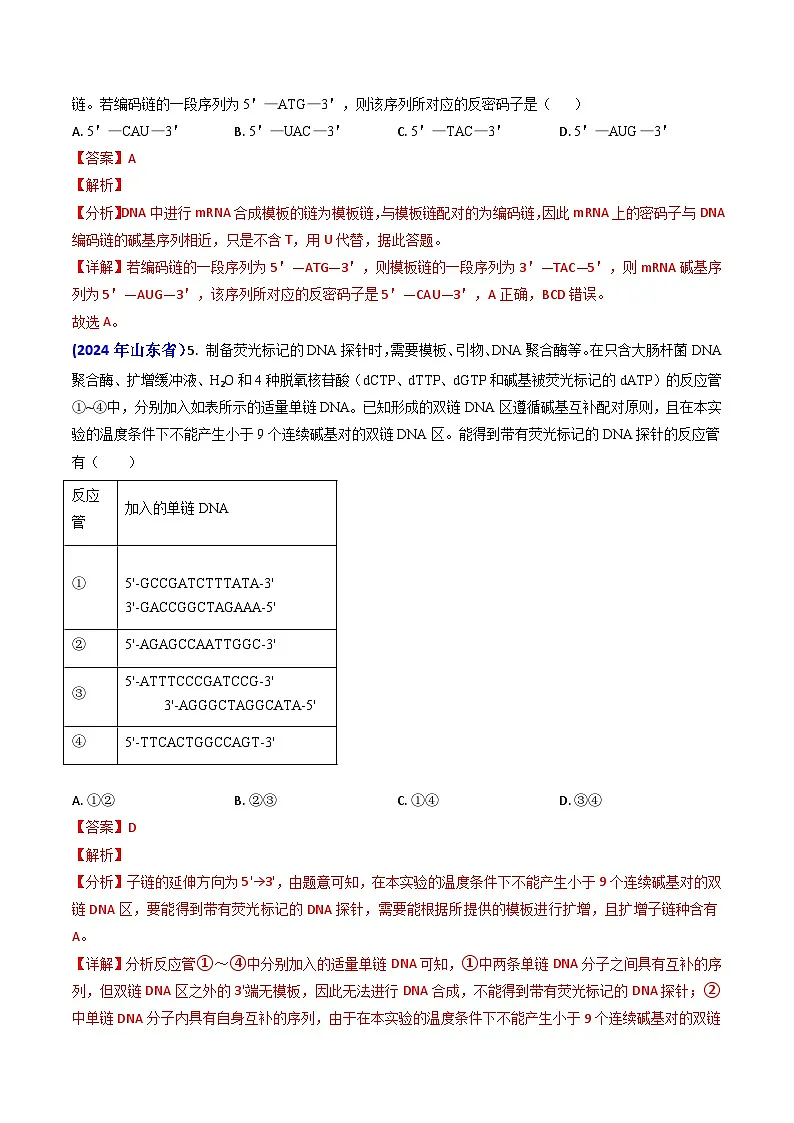 专题09 遗传的分子基础-2024年高考真题和模拟题生物分类汇编（教师卷）第3页