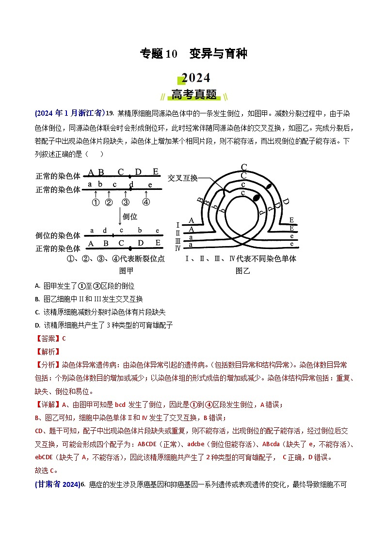 专题10 变异与育种-2024年高考真题和模拟题生物分类汇编（教师卷）第1页