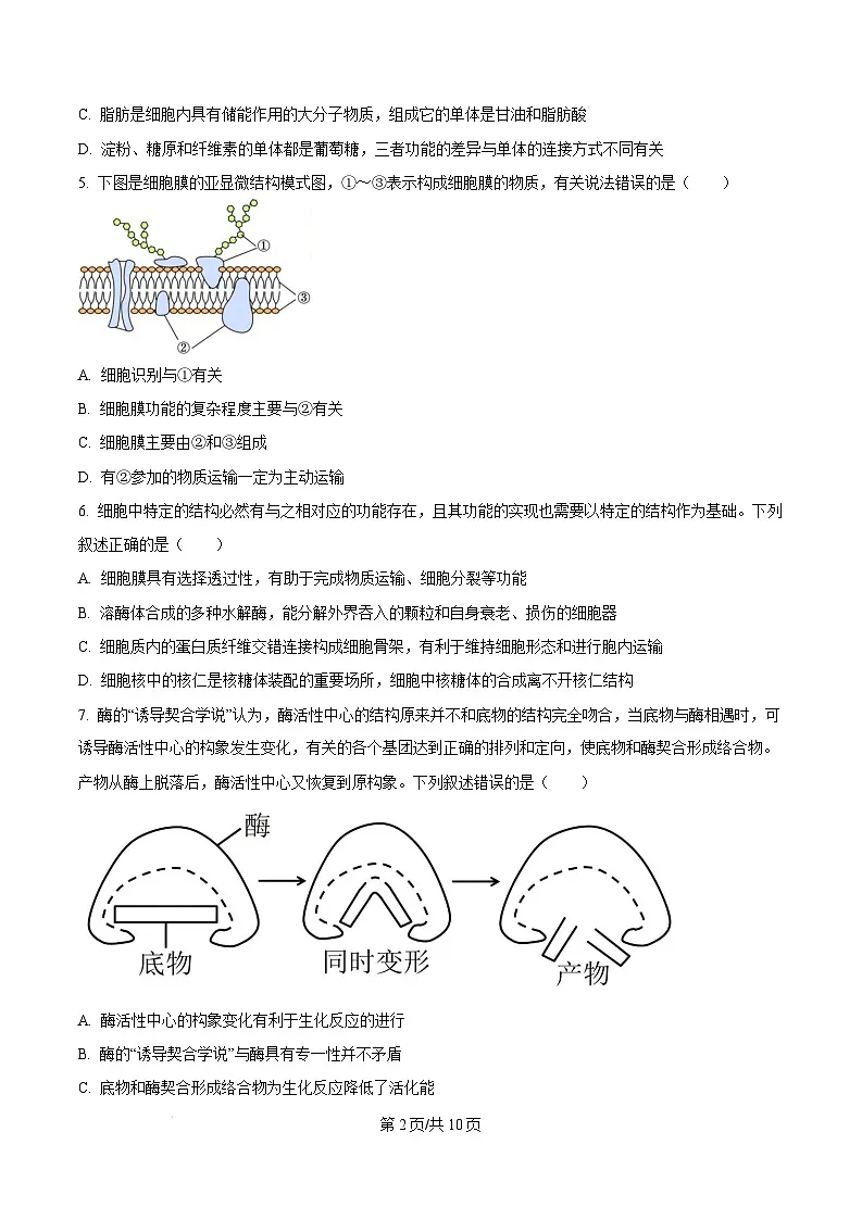 黑龙江省龙东地区2024-2025学年高一上学期期末考试生物试卷 Word版无答案第2页