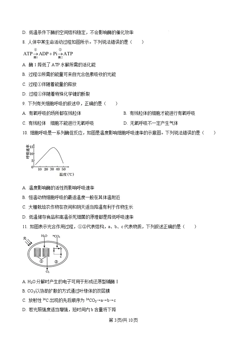 黑龙江省龙东地区2024-2025学年高一上学期期末考试生物试卷 Word版无答案第3页