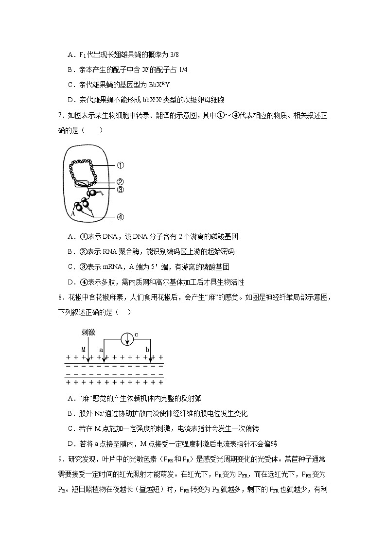 2025届贵州省毕节市高三下学期高考第二次适应考试生物检测卷第3页