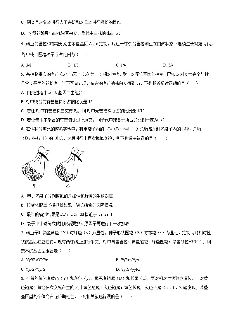 河北省沧州市三县联考2024-2025学年高一下学期3月第一次月考生物试题（原卷版+解析版）第2页