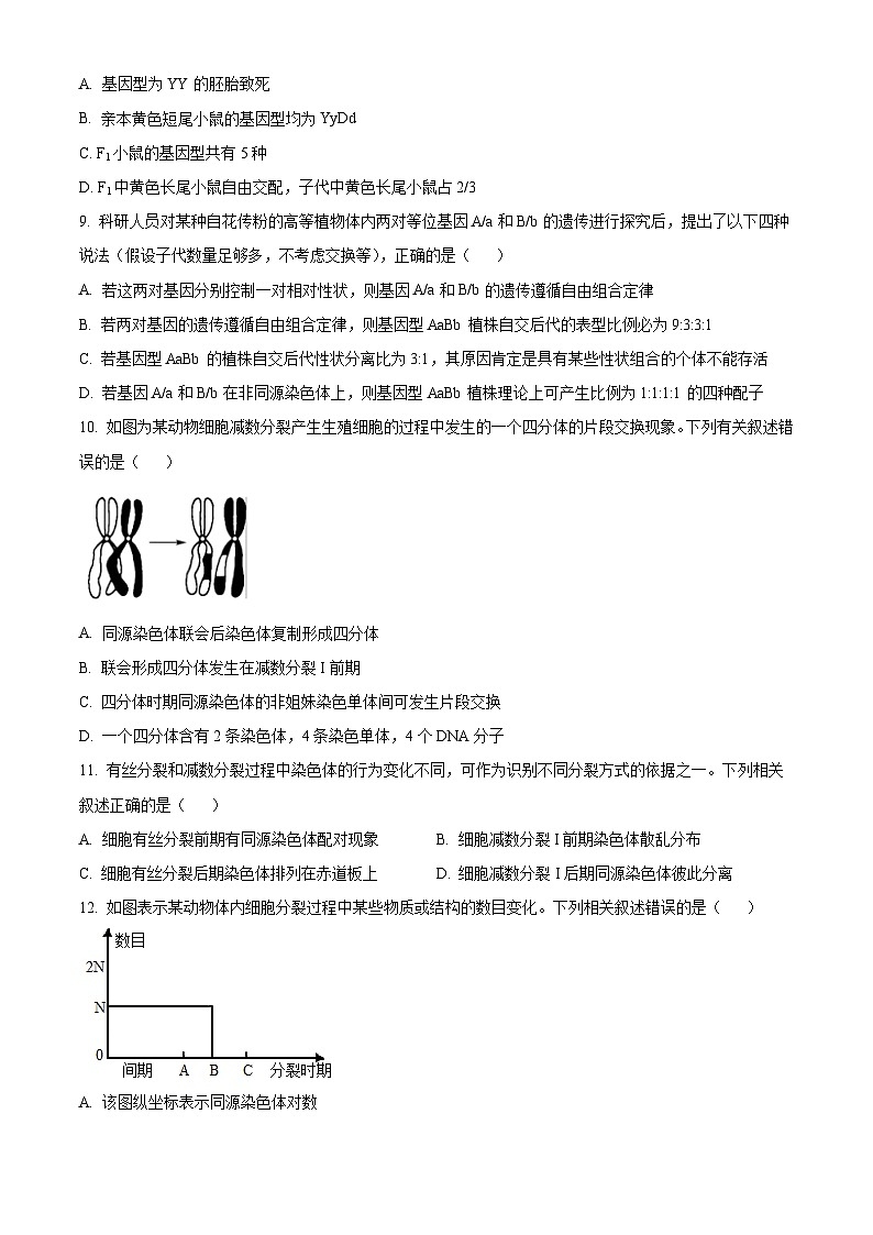 河北省沧州市三县联考2024-2025学年高一下学期3月第一次月考生物试题（原卷版+解析版）第3页