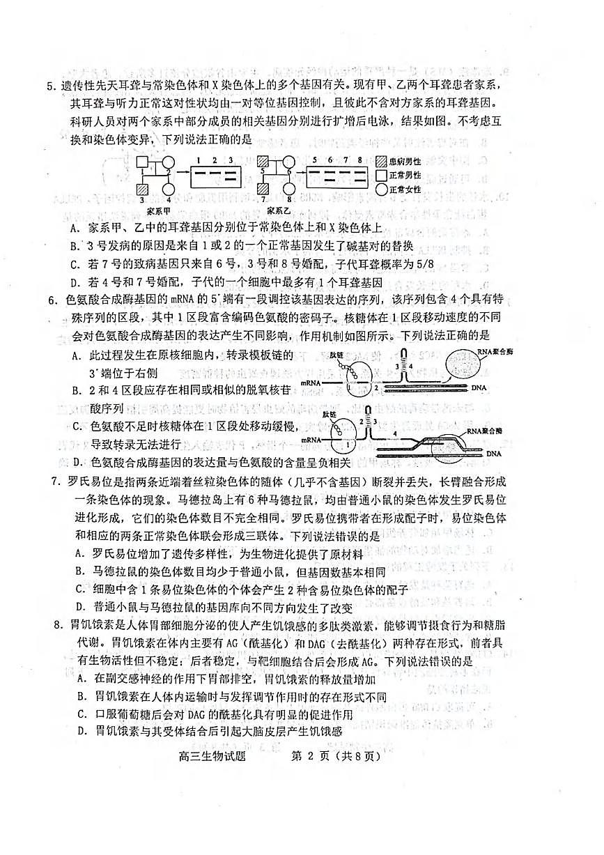 生物丨山东省烟台市、德州市、东营市2025届高三下学期3月高考诊断性测试一模生物试卷及答案第2页