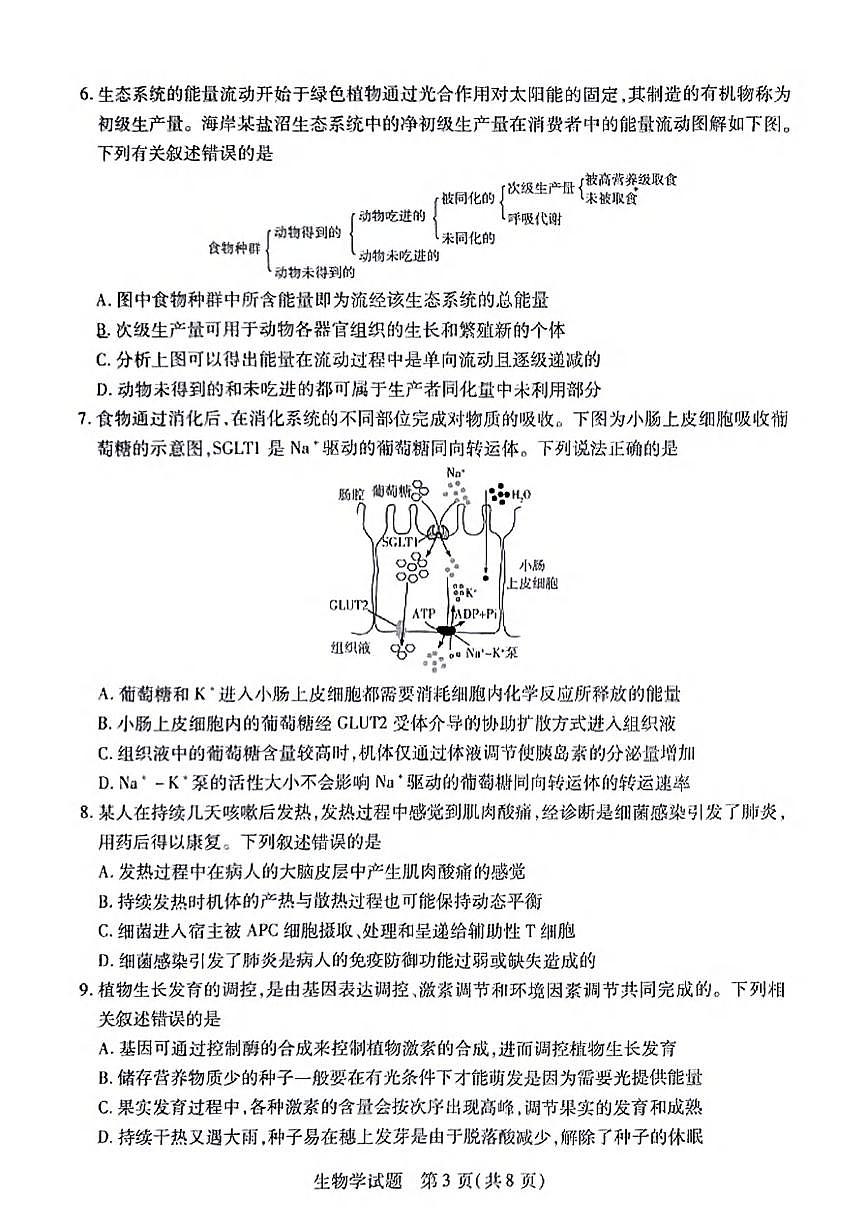 生物丨天一大联考安徽省2025届高三下学期3月调研生物试卷及答案第3页