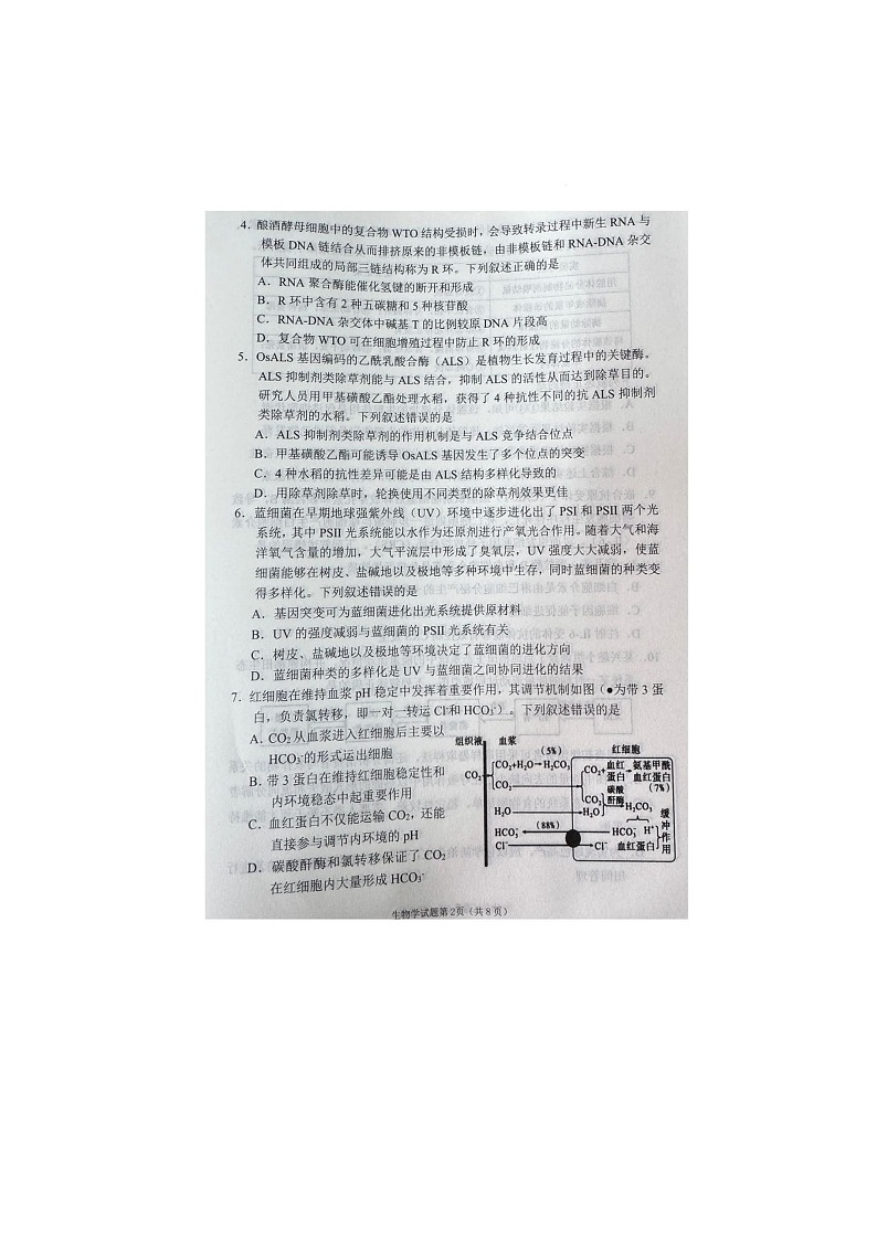 2024-2025学年下学期四川省南充市高三第二次适应性考试生物试卷第2页