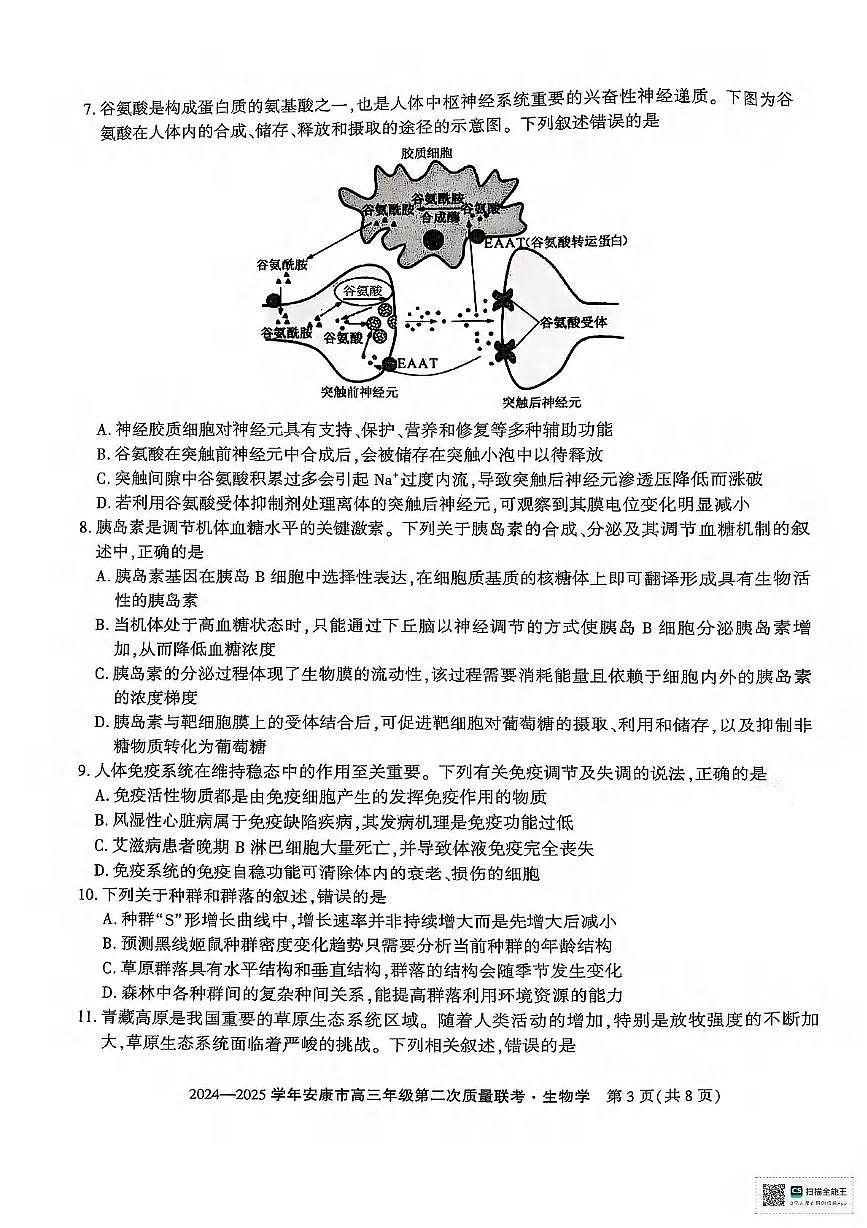 生物丨陕西省安康市2025届高三下学期3月第二次质量联考（二模）生物试卷及答案第3页