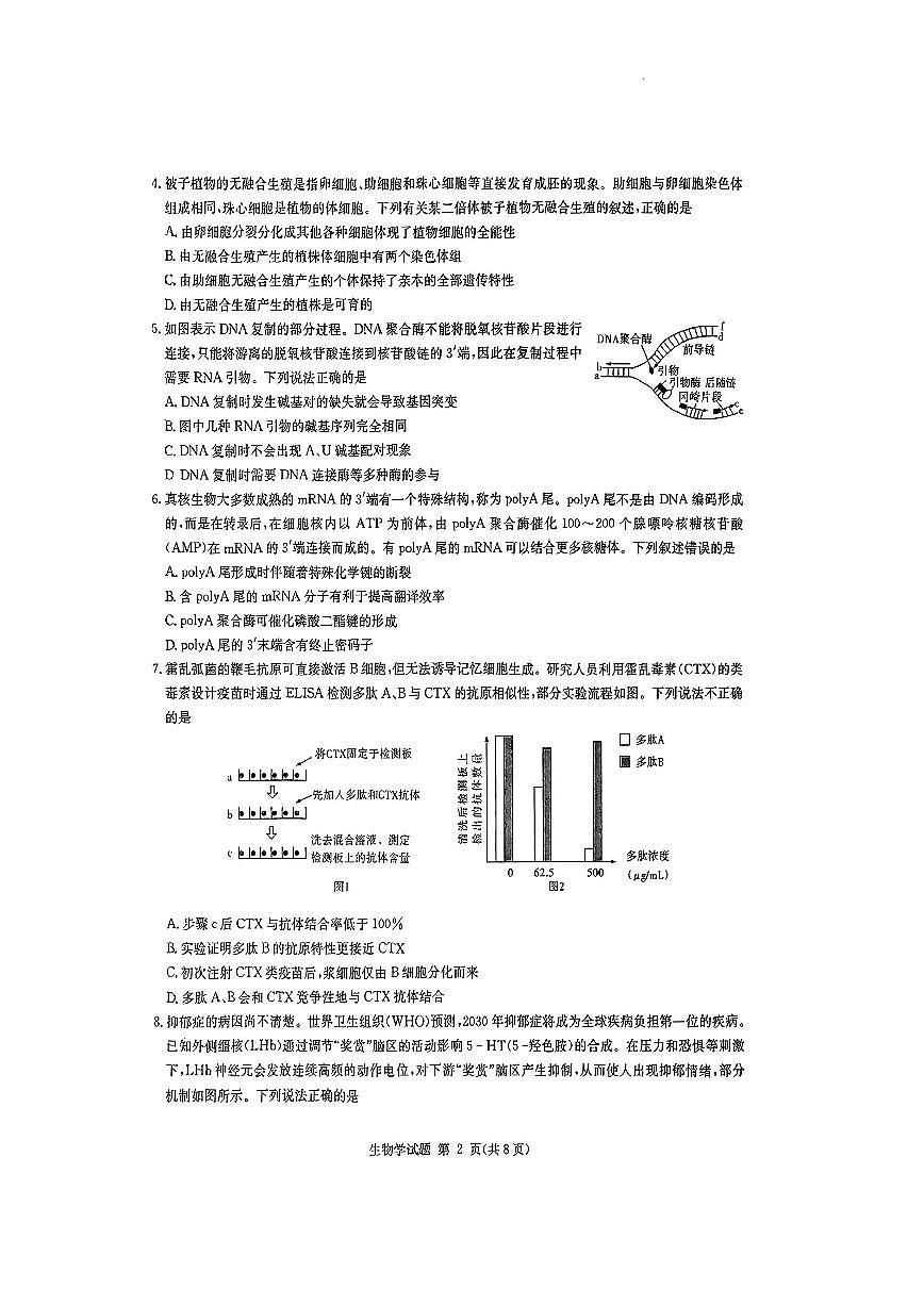 湖南省炎德英才九校联盟2025届高三下学期高考模拟第二次联考-生物试题+答案第2页
