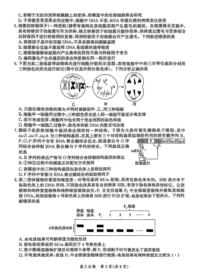 2025届河北省沧州市沧衡八县联考高三下学期高考模拟一模生物试题+答案第2页