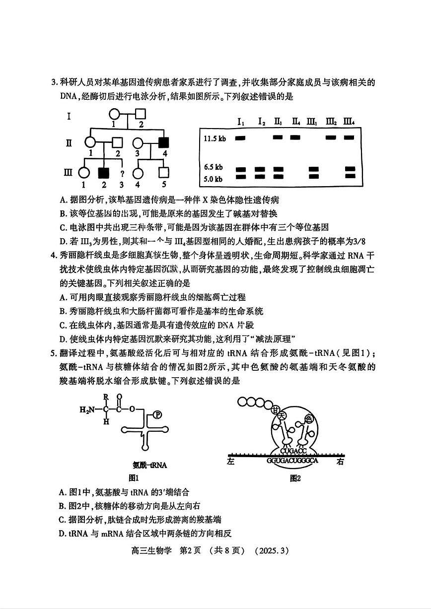 生物丨河南省豫西北教研联盟(洛平许济)2025届高三下学期3月第二次质量检测生物试卷及答案第2页