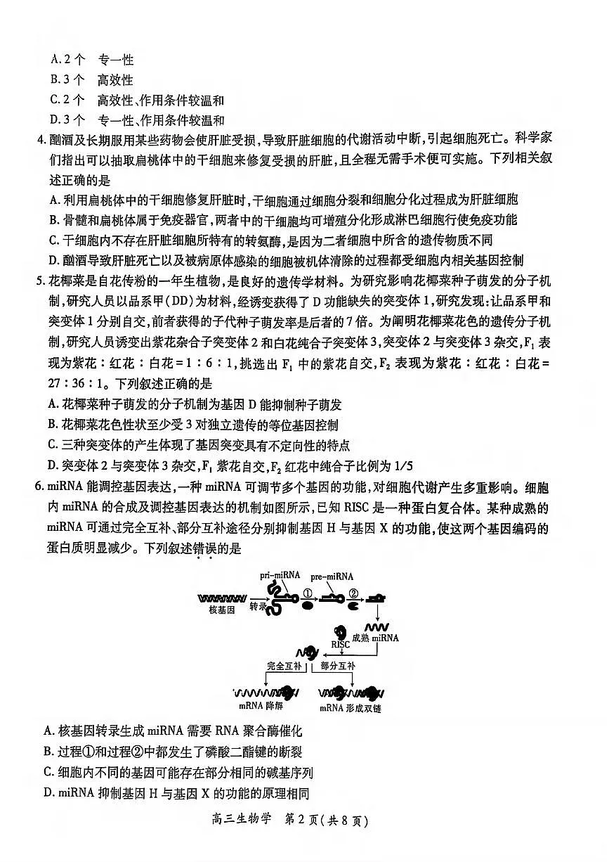 生物丨江西省稳派上进联考2025届高三下学期3月二轮总复习联合检测生物试卷及答案第2页