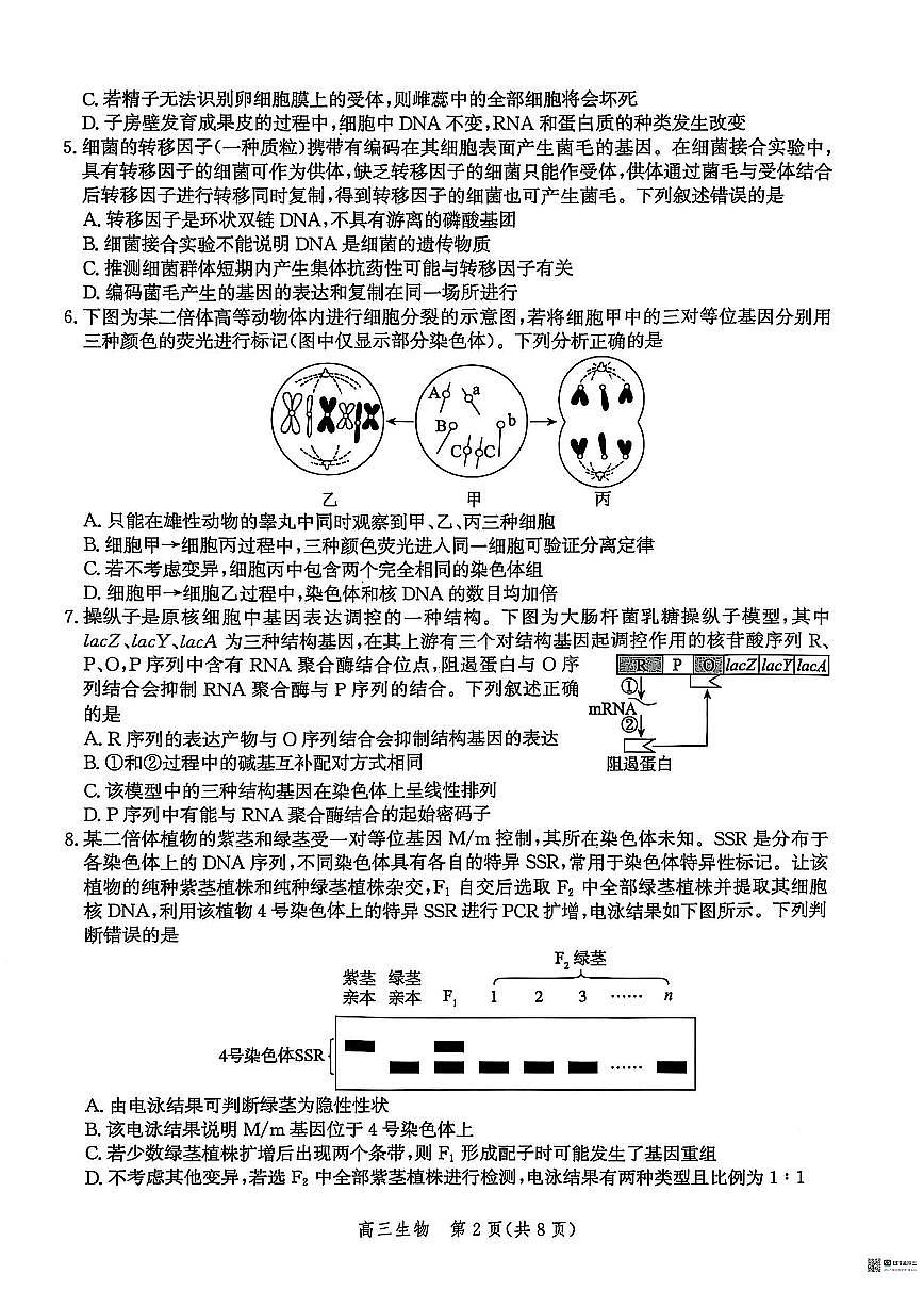 2025届河北省沧州市一模 沧衡八县高三一模考试 生物试题及答案第2页
