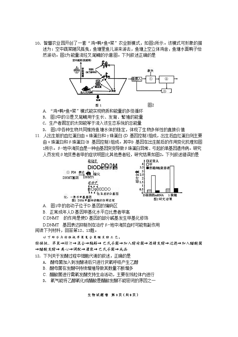 生物试卷              【浙江卷】浙江省金丽衢十二校2024-2025学年高三下学期第二次联考（3.12-3.14）第3页
