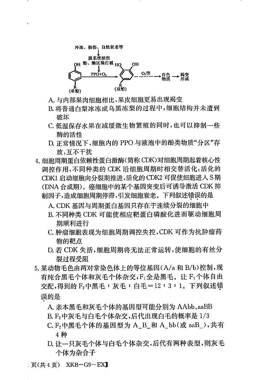 2025普通高等学校招生全国统一考试高考模拟金卷-生物试题+答案第2页
