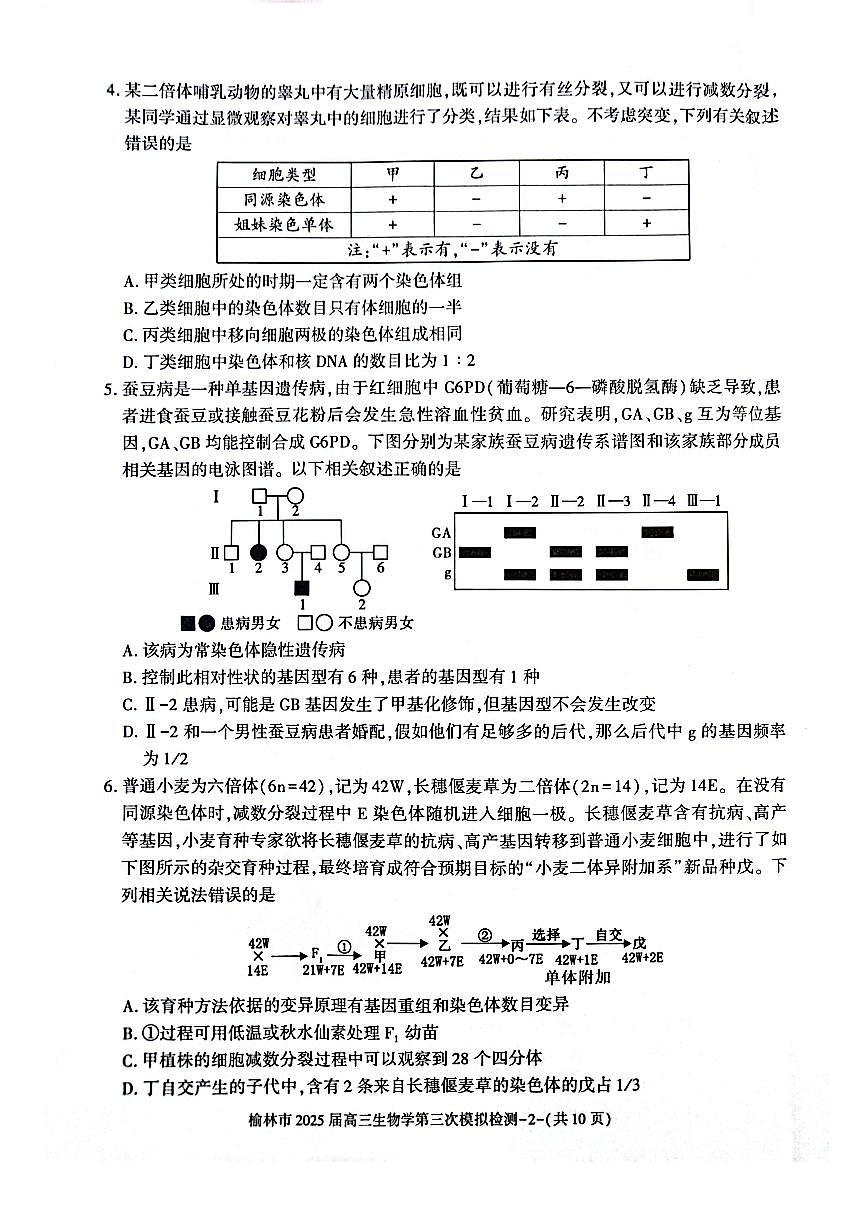 陕西省榆林市2025届高三第三次模拟检测 生物（含答案）第2页