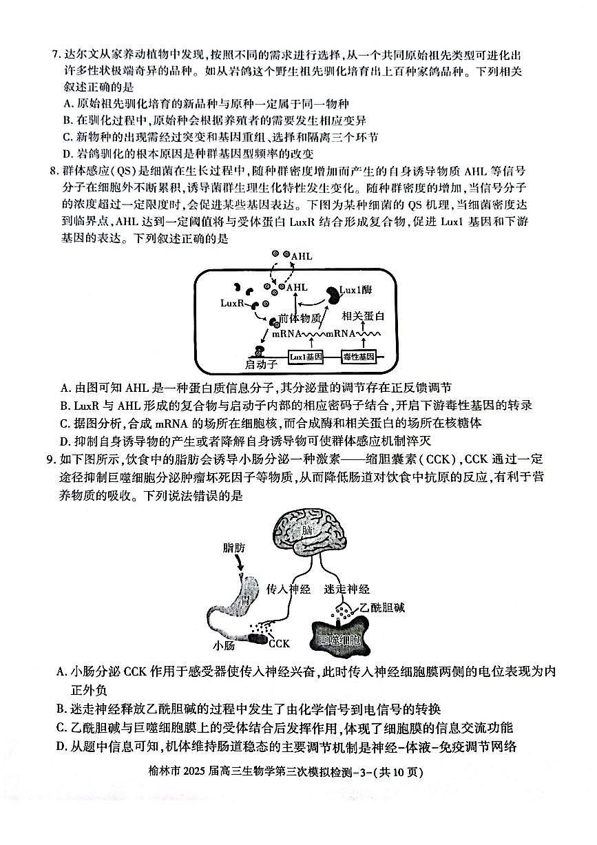 陕西省榆林市2025届高三第三次模拟检测 生物（含答案）第3页